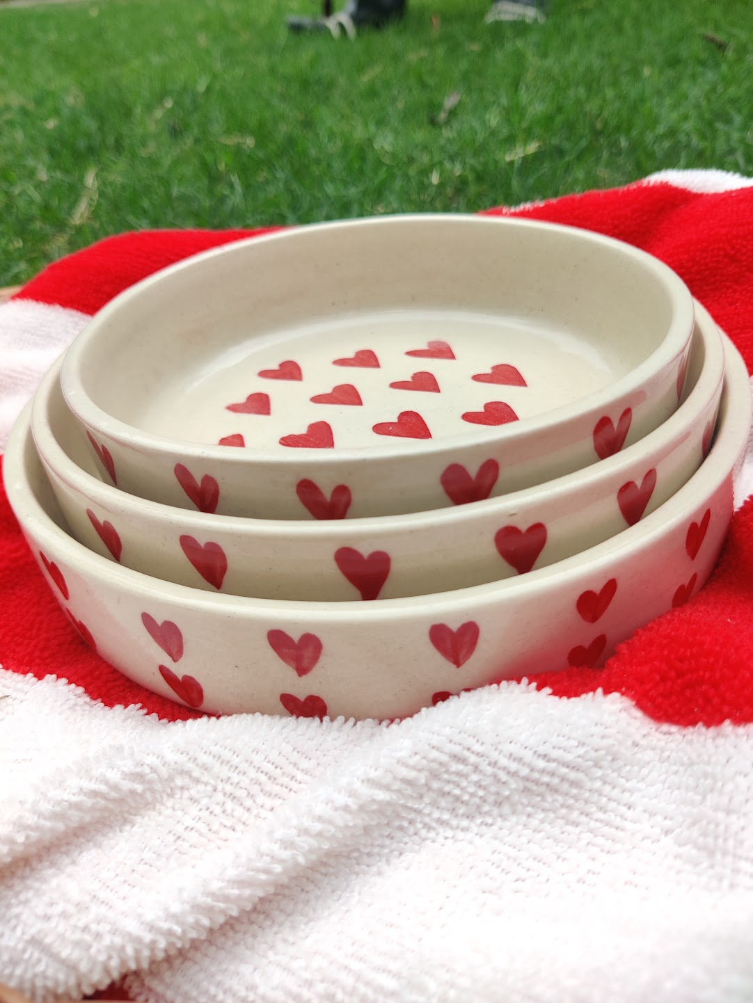 Heartsy Plates Set
