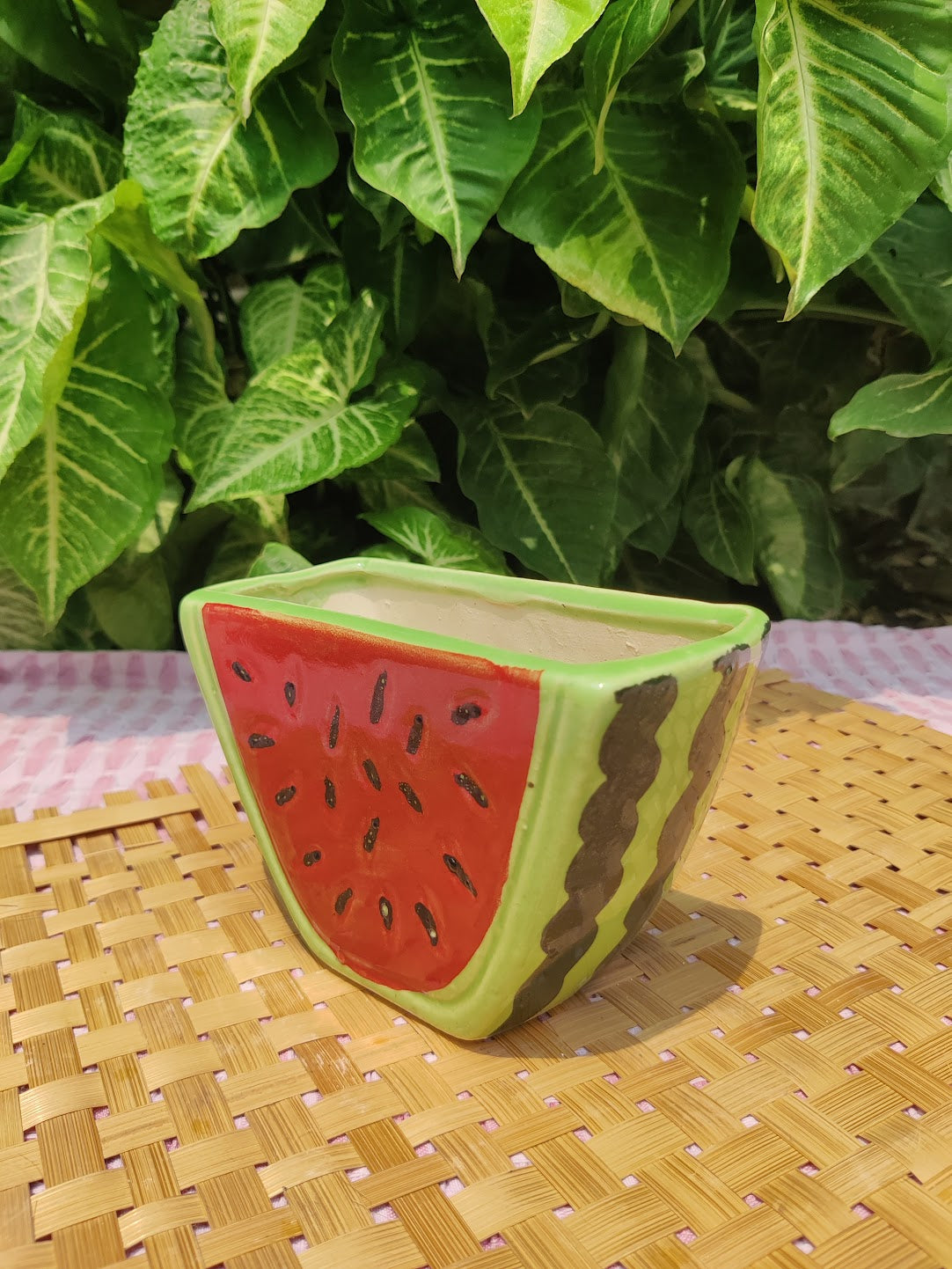 Watermelon Case