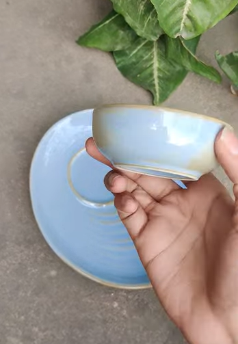 Blue Petal Plate and Bowl Combo