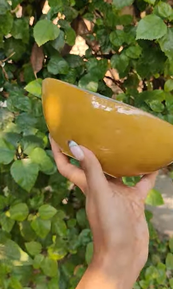 Sunlit Herb Bowl