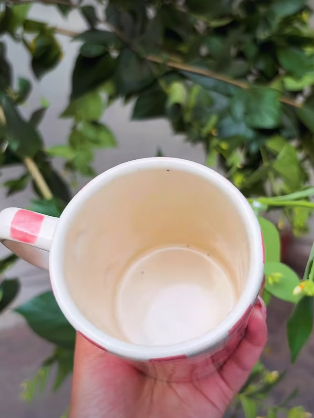 Strawberry Lid Mug