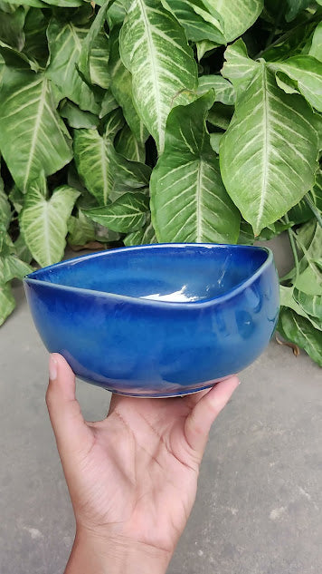 Blue Crush Bowl