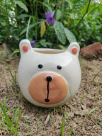 𝙱𝚞𝚗𝚗𝚢 𝙱𝚞𝚛𝚛𝚘𝚠 𝙿𝚘𝚝