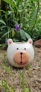 𝙱𝚞𝚗𝚗𝚢 𝙱𝚞𝚛𝚛𝚘𝚠 𝙿𝚘𝚝