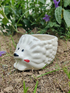 𝙷𝚎𝚍𝚐𝚎𝚑𝚘𝚐 𝙷𝚊𝚟𝚎𝚗 𝙿𝚘𝚝