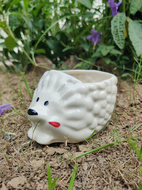 𝙷𝚎𝚍𝚐𝚎𝚑𝚘𝚐 𝙷𝚊𝚟𝚎𝚗 𝙿𝚘𝚝