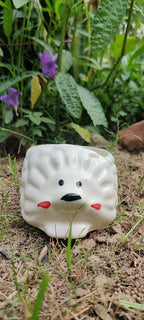 𝙷𝚎𝚍𝚐𝚎𝚑𝚘𝚐 𝙷𝚊𝚟𝚎𝚗 𝙿𝚘𝚝