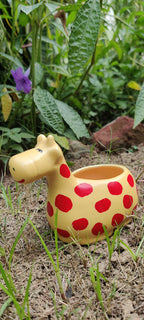 𝙱𝚕𝚘𝚜𝚜𝚘𝚖 𝙴𝚌𝚑𝚘