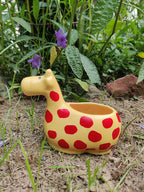 𝙱𝚕𝚘𝚜𝚜𝚘𝚖 𝙴𝚌𝚑𝚘