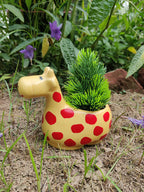 𝙱𝚕𝚘𝚜𝚜𝚘𝚖 𝙴𝚌𝚑𝚘