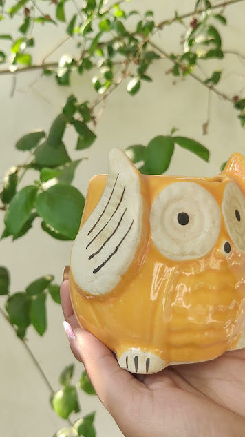 Sunny Hoot Pot