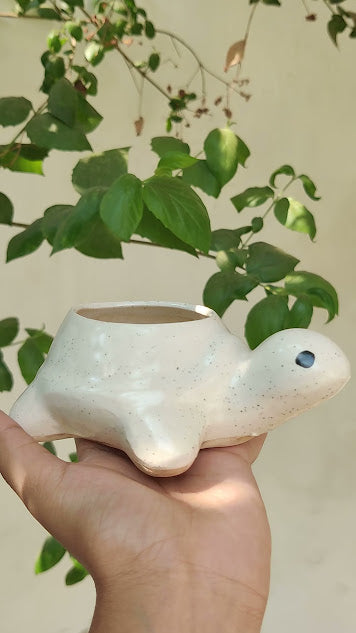 Tiny Terra Tortoise Pot